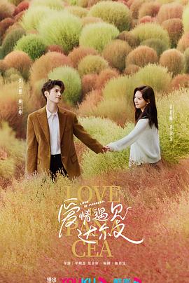 优化网站搜索在哪里